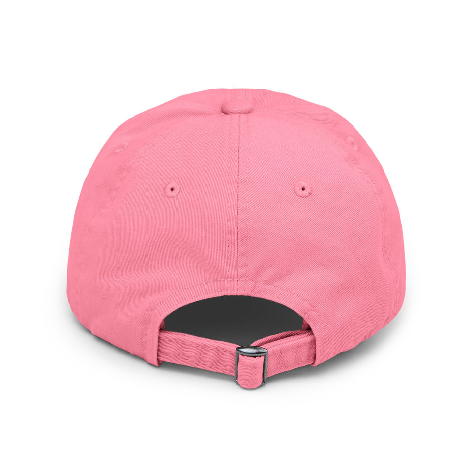 Trump 2024, Protect America Again, Unisex Distressed Caps, Donald Trump, Republican Cap, Political Cap, USA Flag Cap, America Cap, Election