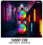 Top Tech Audio Spark-208 Bluetooth Speaker | Dual 8 Inch LED Rechargeable Wireless Portable Speaker Sound System with Microphone and Disco Ball | Includes Handle & Wheels for Easy Transport (Grey)