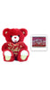 Bear with Coastal Bay Swirled Heart Pops
