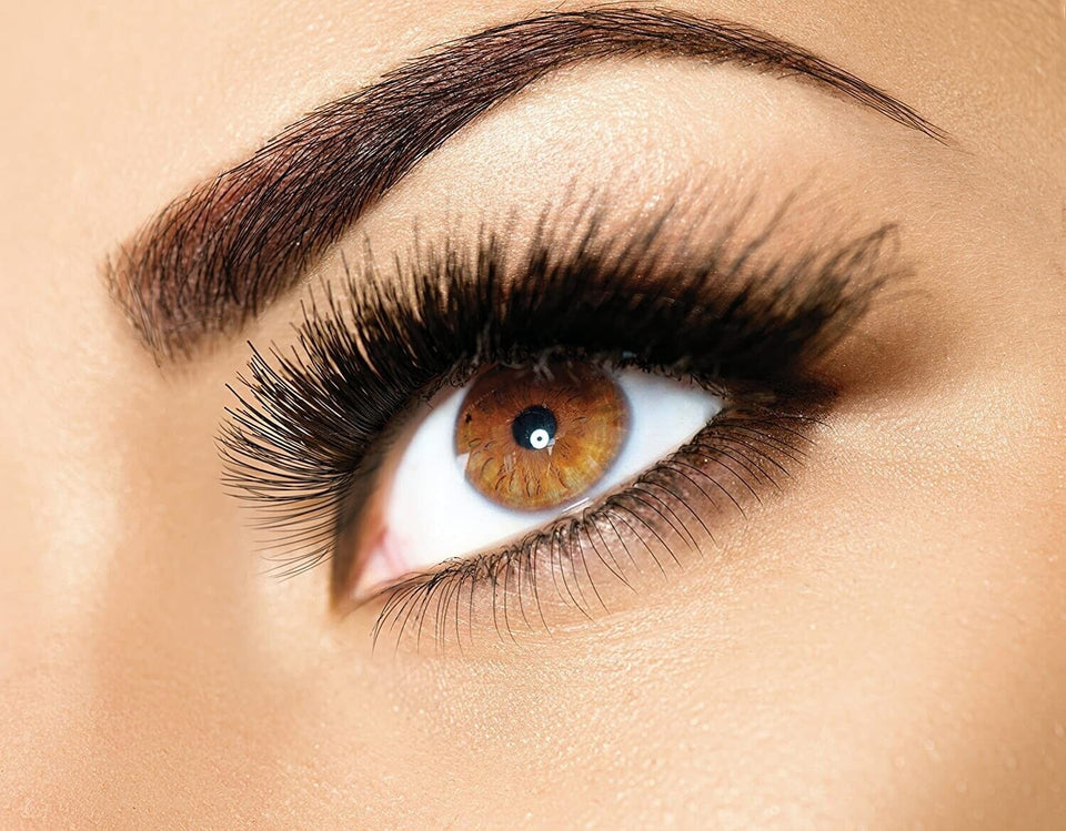 Eyebrow Extensions Kit with 2 Trays of Mink Eyebrows in Blonde / Light Brown, Eyebrow Extension Glue Clear & Extension Tweezers, Comes on Mixed Length Trays 5-8 Mm Mix by Kc Republic (Light Brown 2Pack, Black Tweezer)